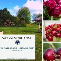 La nature agit, l'homme fait : Semaine 24